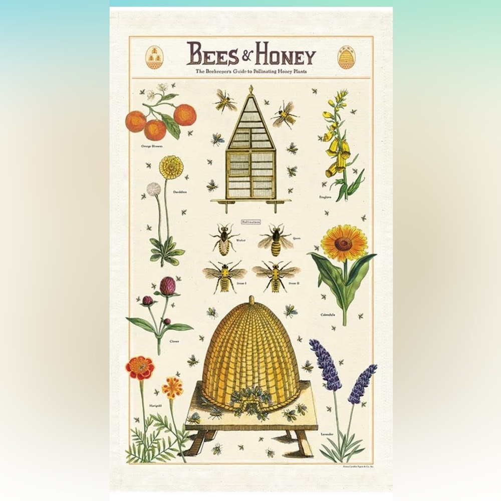 Cavallini & Co Tea Towels Set of 3